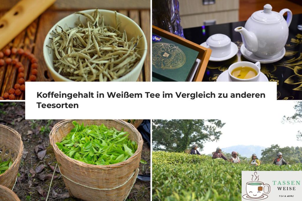 Weißer Tee Koffein