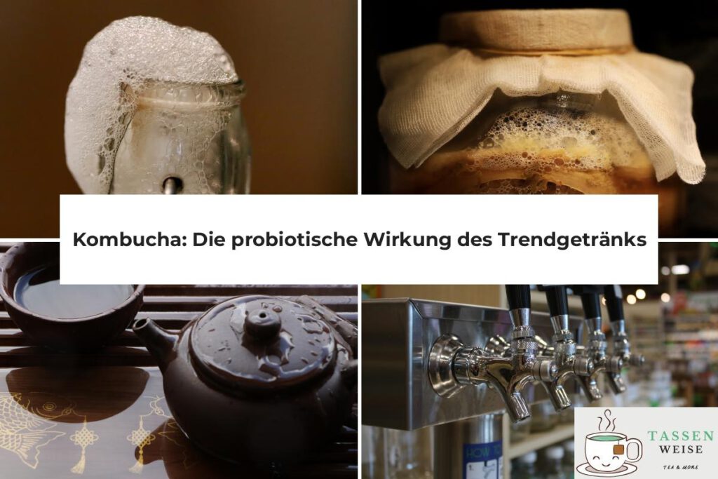 Kombucha Probiotisch