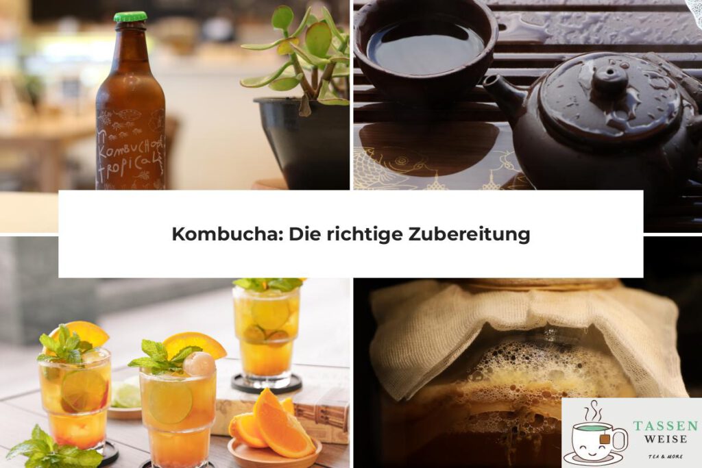 Kombucha Zubereitung