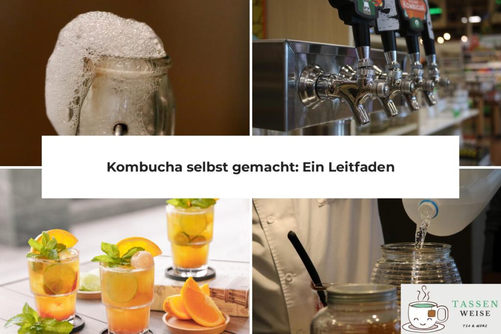 Kombucha selbst herstellen