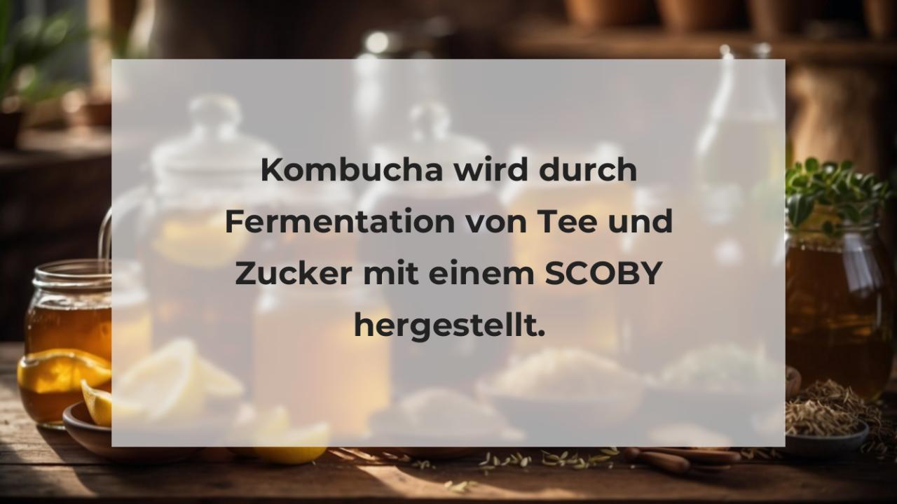 Kombucha wird durch Fermentation von Tee und Zucker mit einem SCOBY hergestellt.