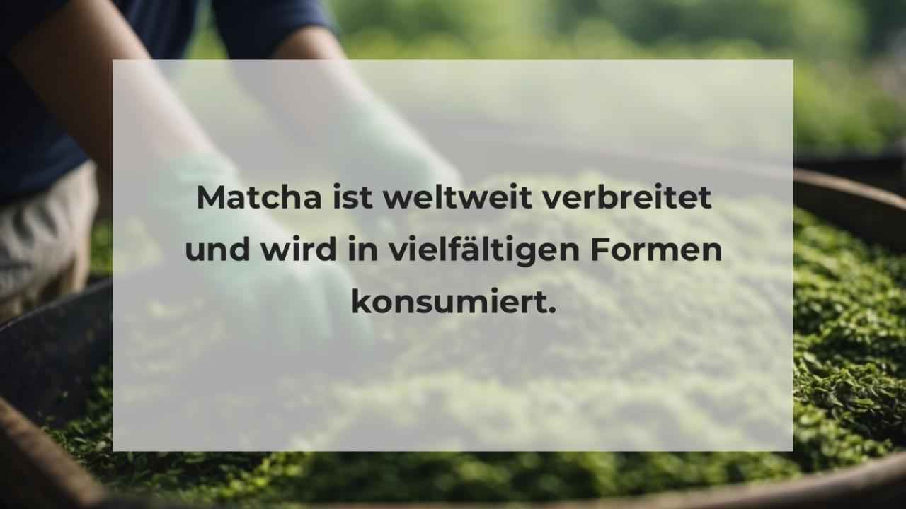 Matcha ist weltweit verbreitet und wird in vielfältigen Formen konsumiert.