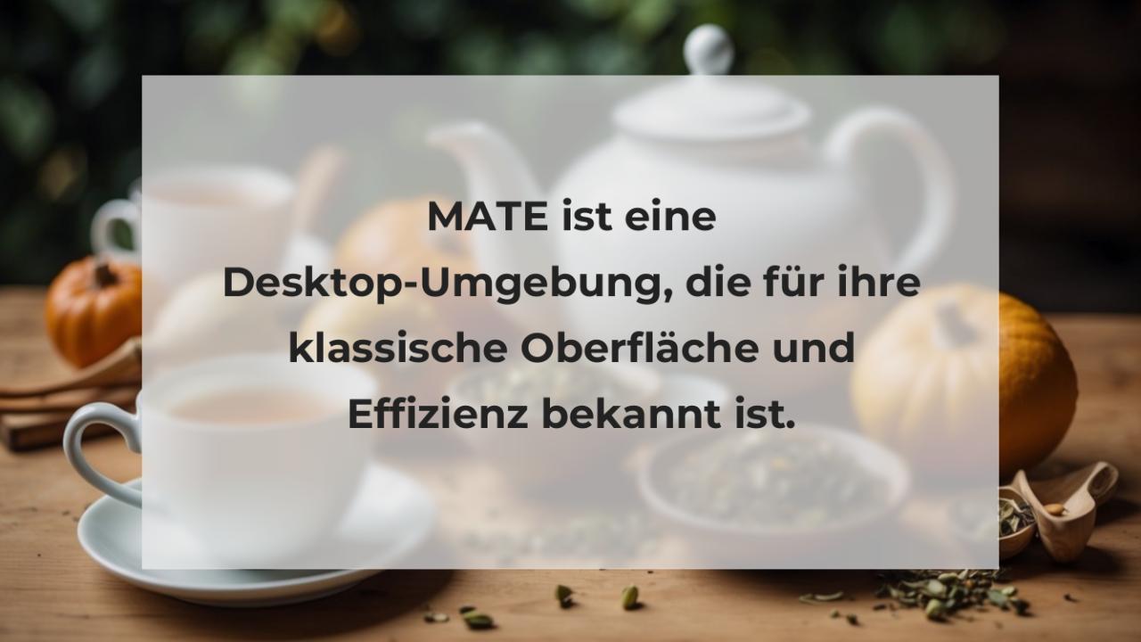 MATE ist eine Desktop-Umgebung, die für ihre klassische Oberfläche und Effizienz bekannt ist.