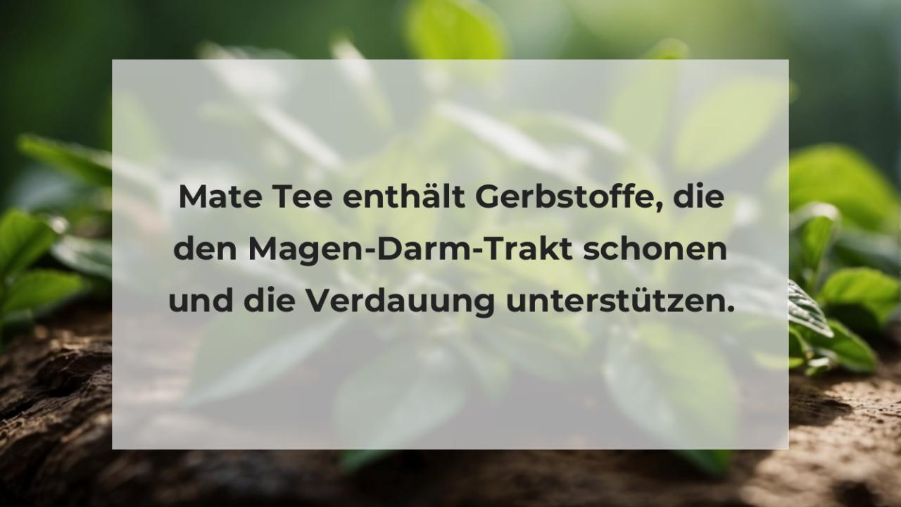 Mate Tee enthält Gerbstoffe, die den Magen-Darm-Trakt schonen und die Verdauung unterstützen.