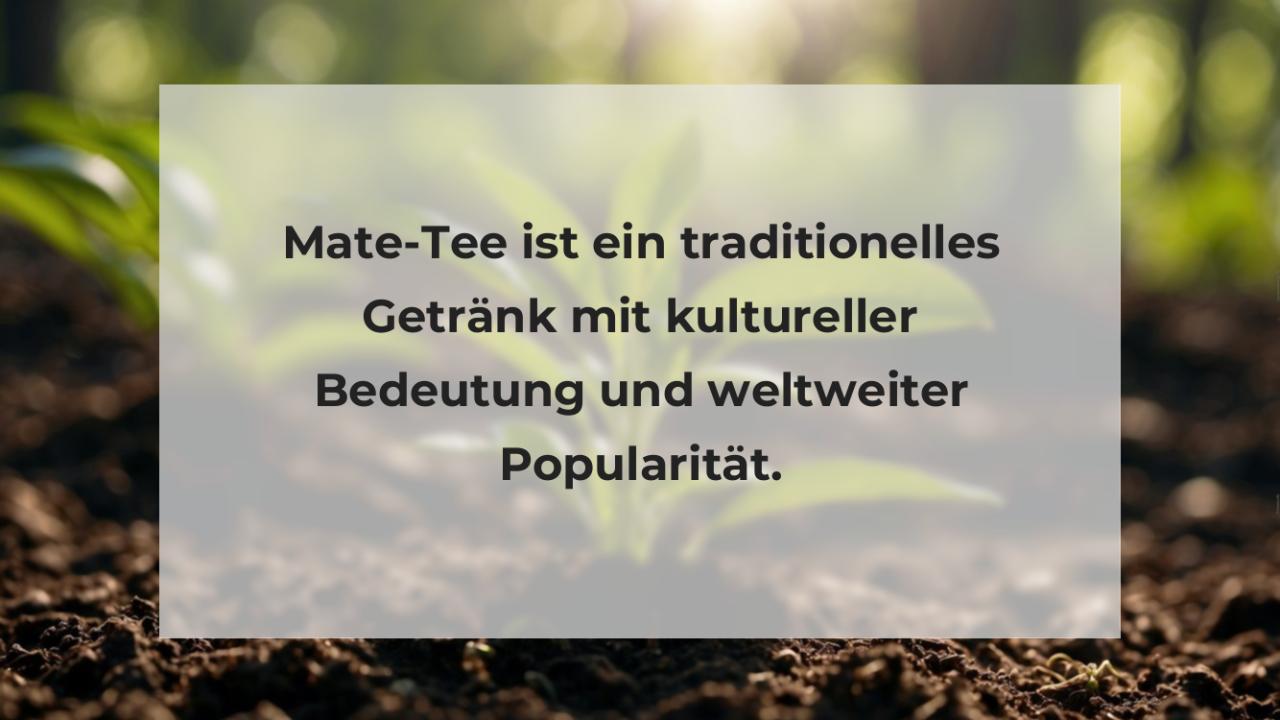 Mate-Tee ist ein traditionelles Getränk mit kultureller Bedeutung und weltweiter Popularität.