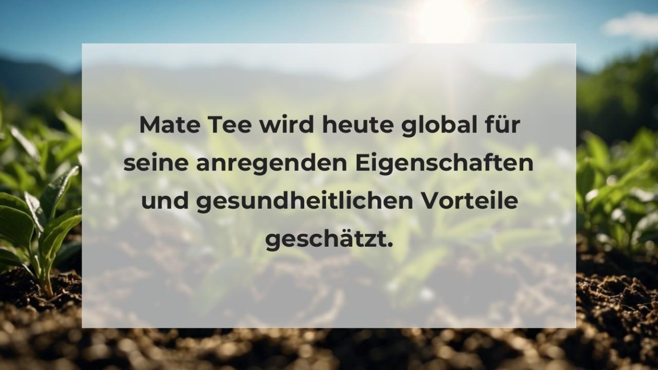 Mate Tee wird heute global für seine anregenden Eigenschaften und gesundheitlichen Vorteile geschätzt.