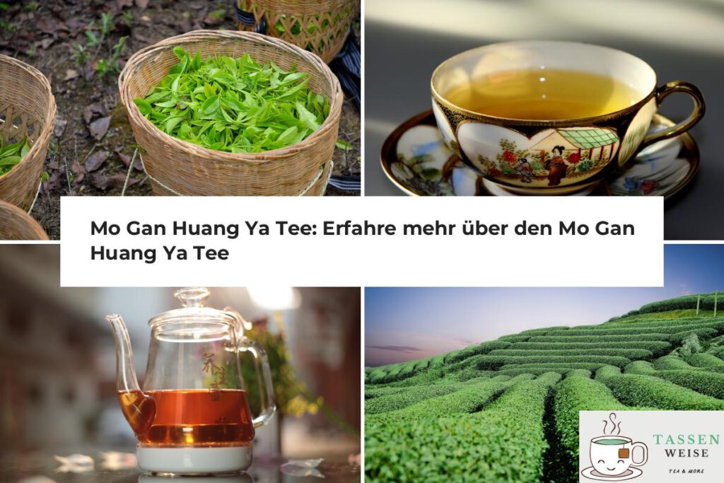 Mo Gan Huang Ya Tee