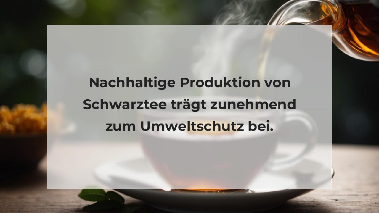 Nachhaltige Produktion von Schwarztee trägt zunehmend zum Umweltschutz bei.