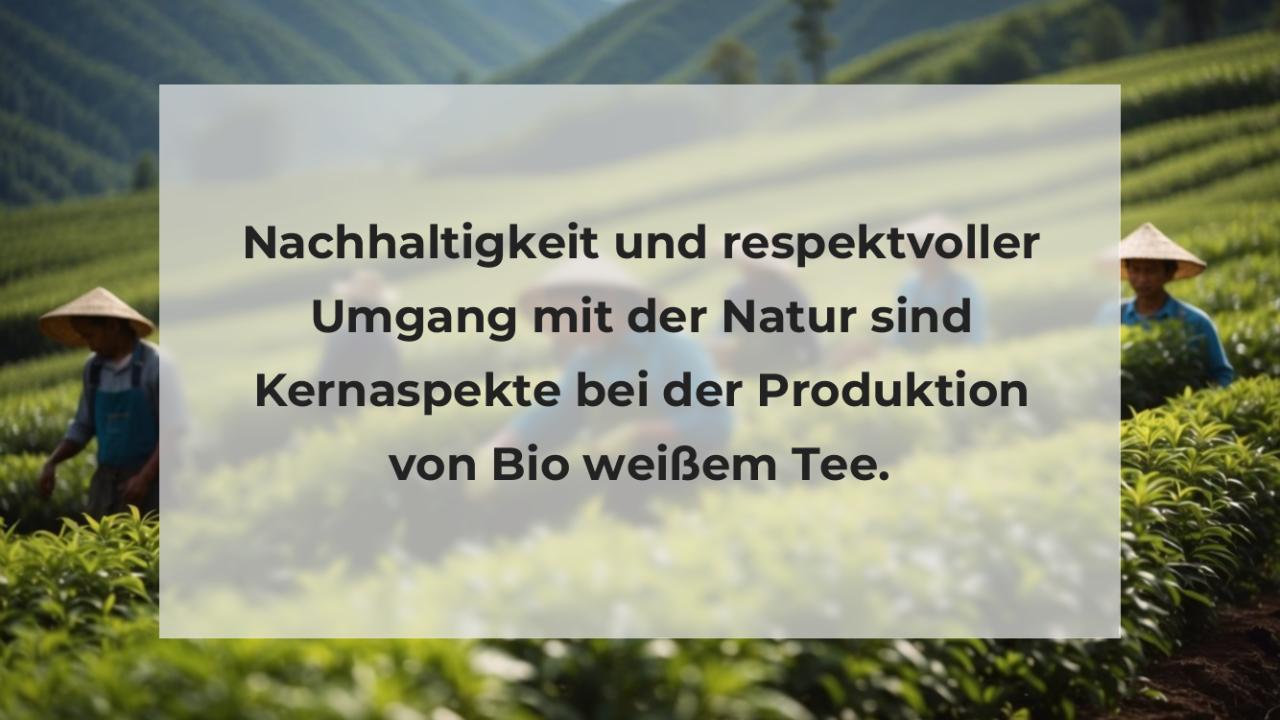 Nachhaltigkeit und respektvoller Umgang mit der Natur sind Kernaspekte bei der Produktion von Bio weißem Tee.