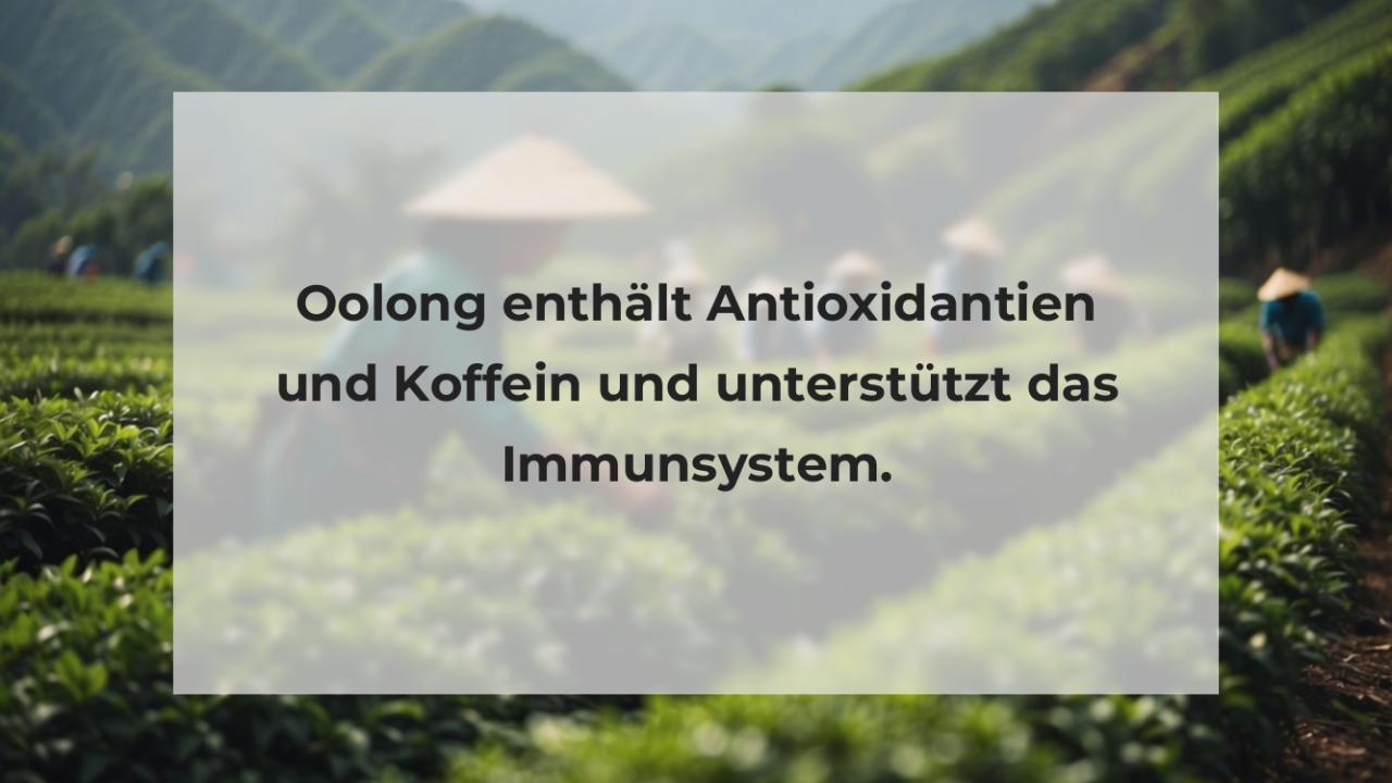 Oolong enthält Antioxidantien und Koffein und unterstützt das Immunsystem.