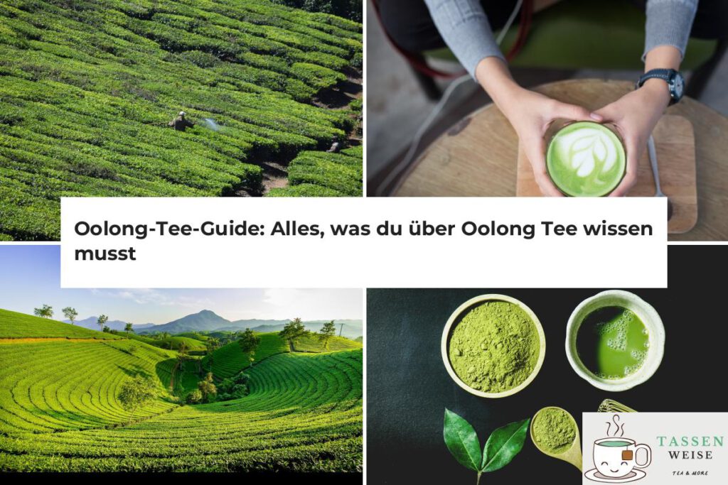 Was ist Oolong Tee