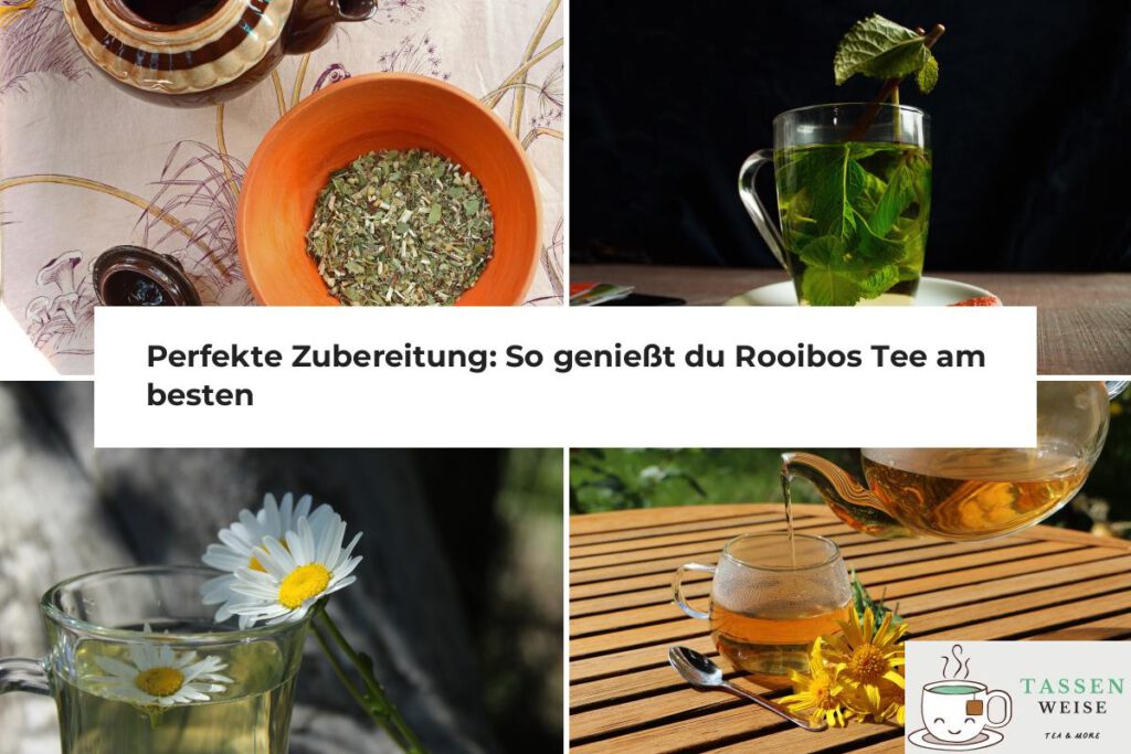 Rooibos Tee Zubereitung