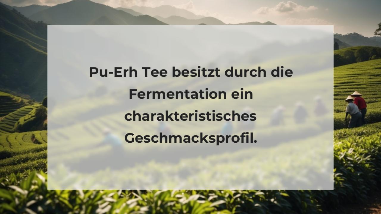 Pu-Erh Tee besitzt durch die Fermentation ein charakteristisches Geschmacksprofil.