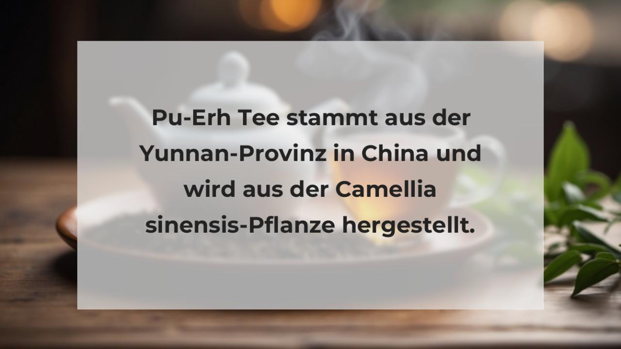 Pu-Erh Tee stammt aus der Yunnan-Provinz in China und wird aus der Camellia sinensis-Pflanze hergestellt.