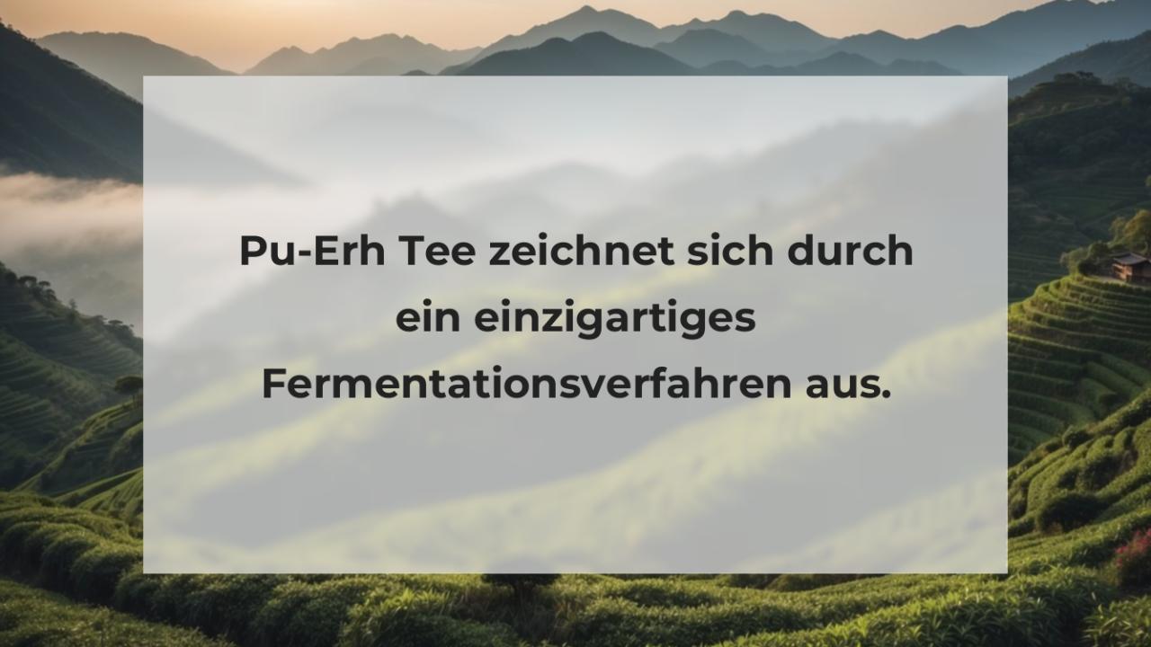 Pu-Erh Tee zeichnet sich durch ein einzigartiges Fermentationsverfahren aus.