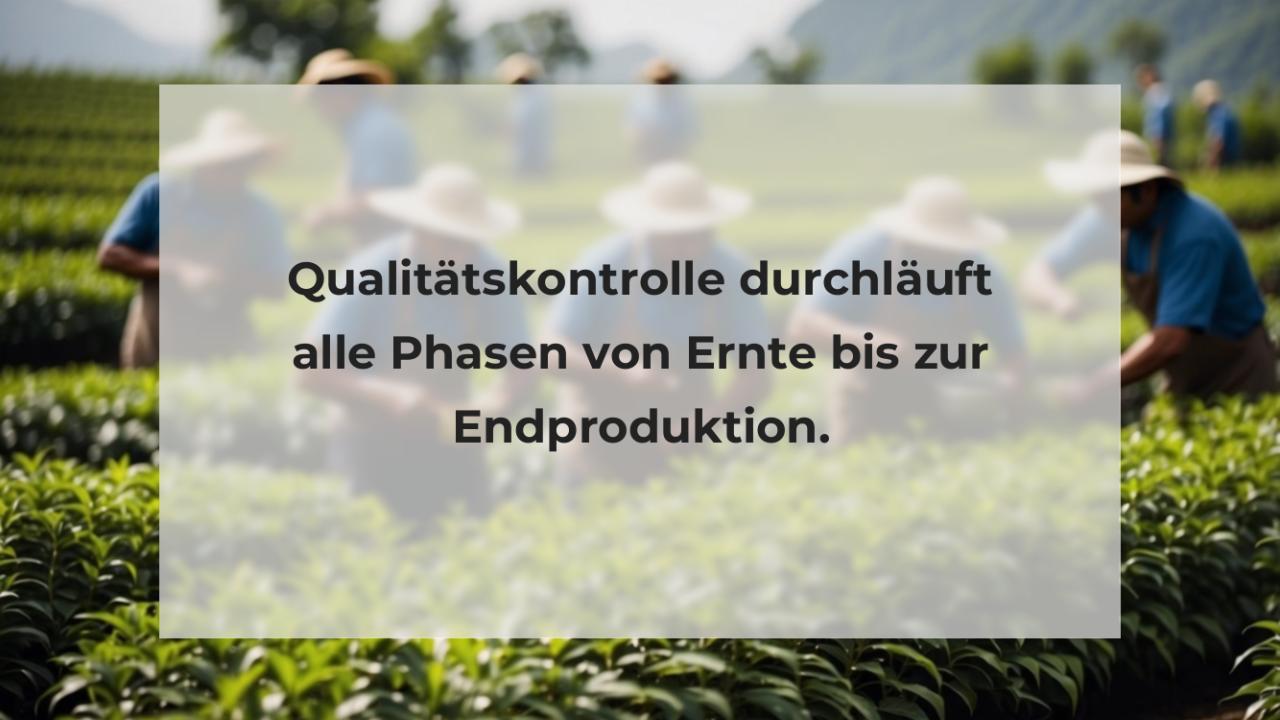 Qualitätskontrolle durchläuft alle Phasen von Ernte bis zur Endproduktion.