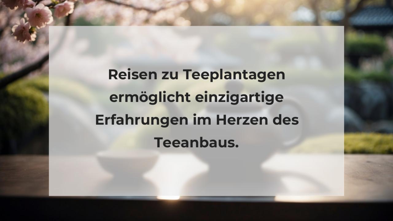 Reisen zu Teeplantagen ermöglicht einzigartige Erfahrungen im Herzen des Teeanbaus.