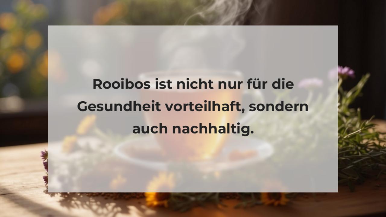 Rooibos ist nicht nur für die Gesundheit vorteilhaft, sondern auch nachhaltig.