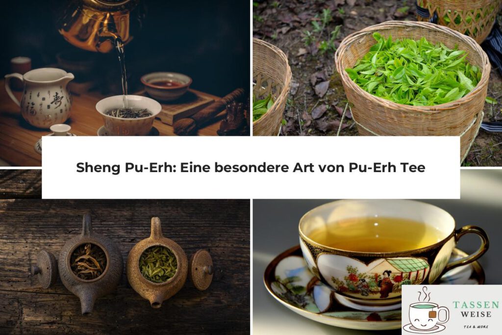 Sheng Pu-Erh