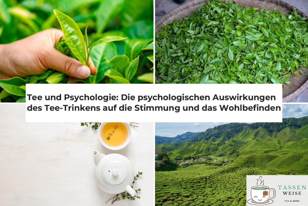 Tee und Psychologie