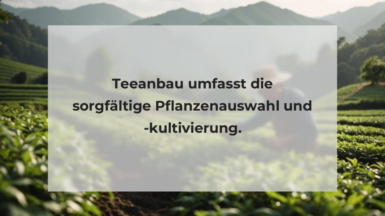 Teeanbau umfasst die sorgfältige Pflanzenauswahl und -kultivierung.