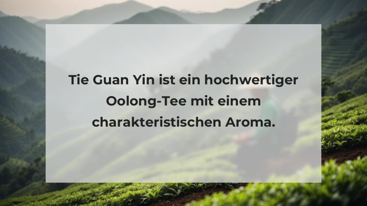 Tie Guan Yin ist ein hochwertiger Oolong-Tee mit einem charakteristischen Aroma.