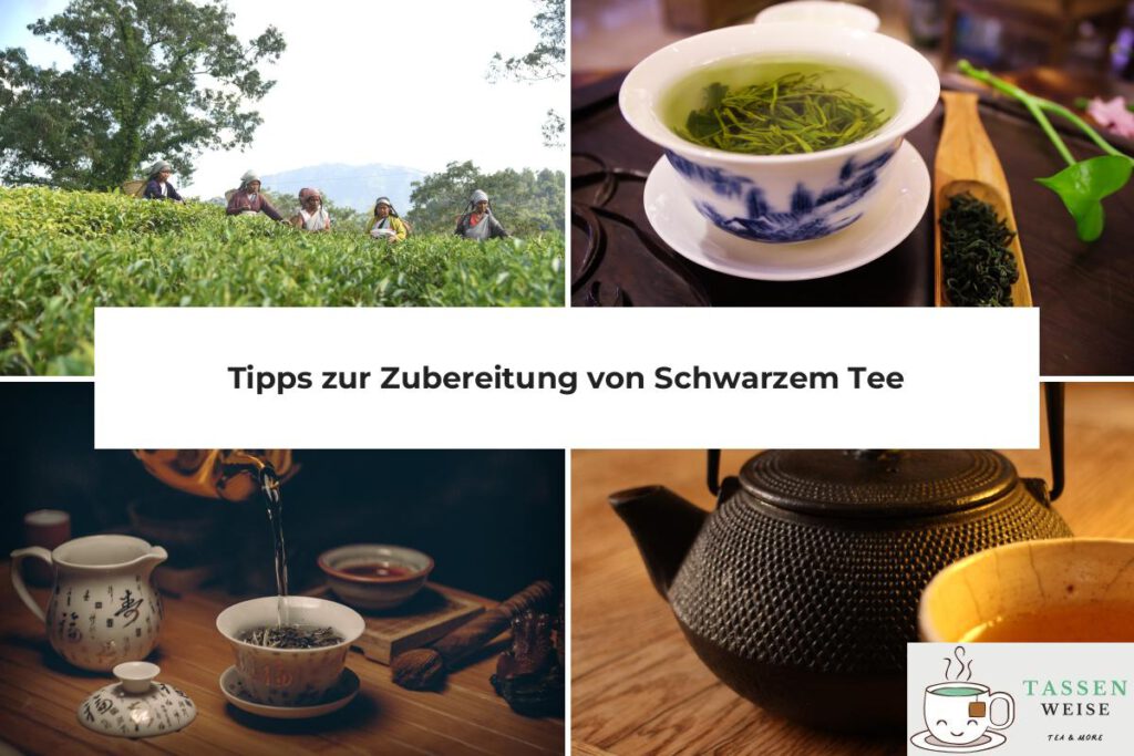 Schwarzer Tee Zubereitung