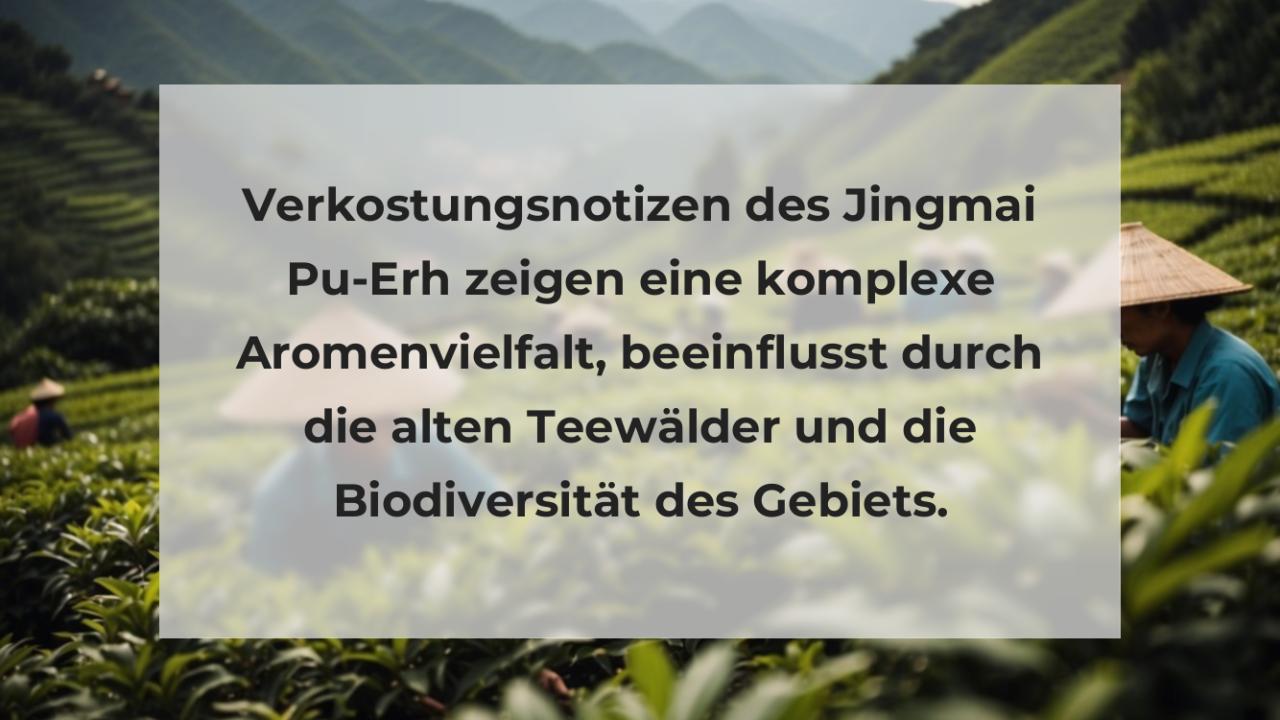 Verkostungsnotizen des Jingmai Pu-Erh zeigen eine komplexe Aromenvielfalt, beeinflusst durch die alten Teewälder und die Biodiversität des Gebiets.