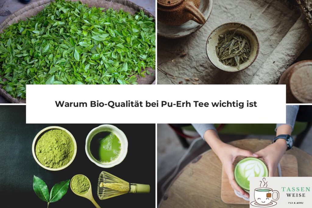 Pu-Erh Tee Bio wichtig?