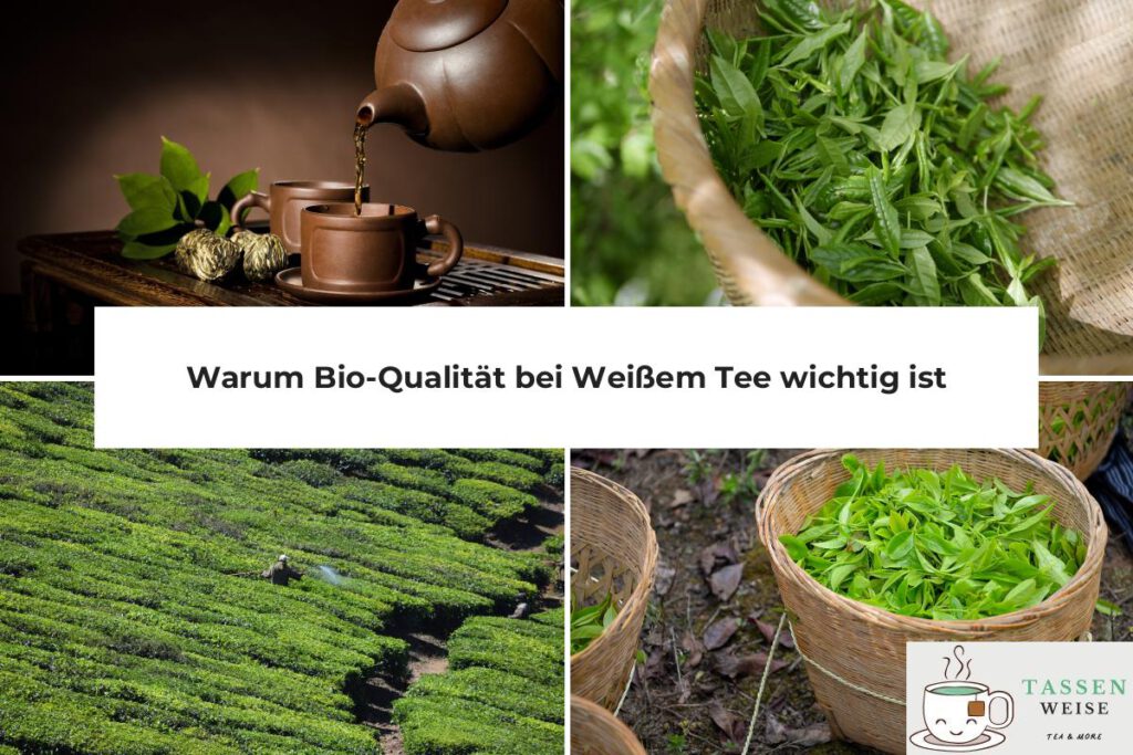 Weißer Tee Bio wichtig?