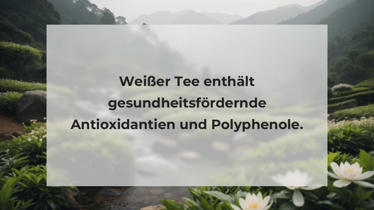 Weißer Tee enthält gesundheitsfördernde Antioxidantien und Polyphenole.