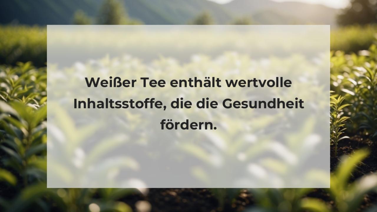 Weißer Tee enthält wertvolle Inhaltsstoffe, die die Gesundheit fördern.