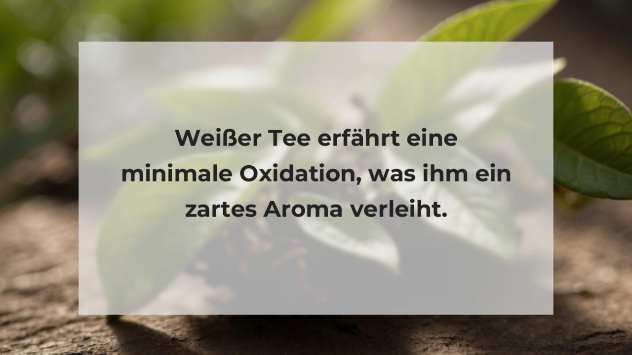 Weißer Tee erfährt eine minimale Oxidation, was ihm ein zartes Aroma verleiht.