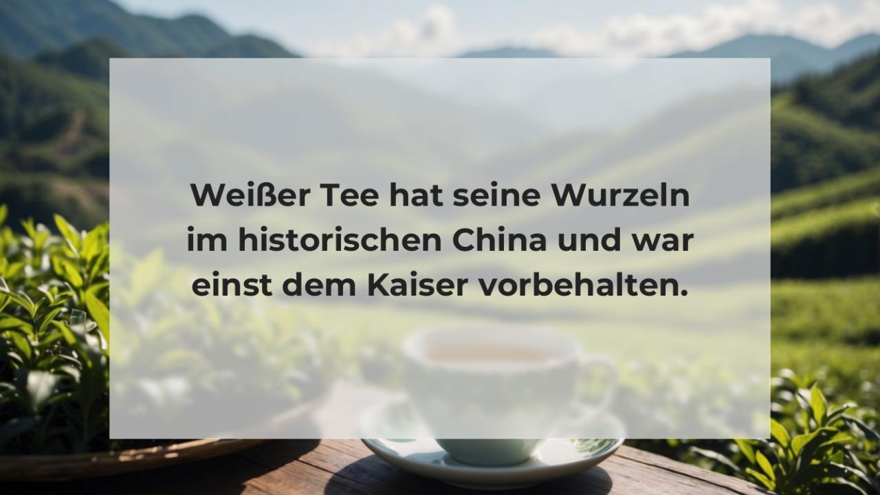 Weißer Tee hat seine Wurzeln im historischen China und war einst dem Kaiser vorbehalten.