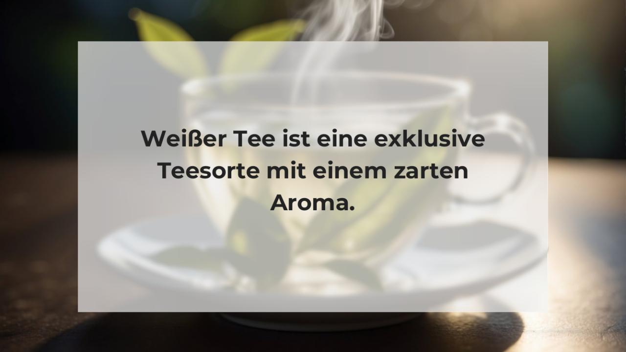 Weißer Tee ist eine exklusive Teesorte mit einem zarten Aroma.