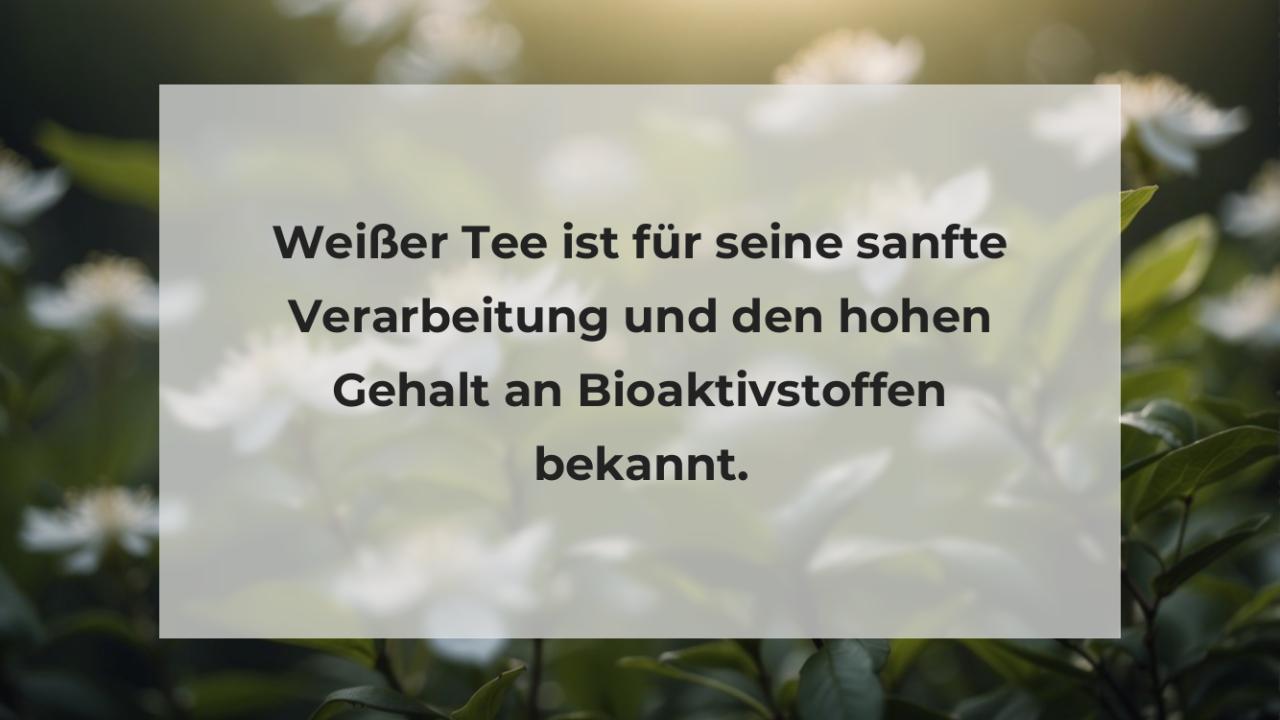 Weißer Tee ist für seine sanfte Verarbeitung und den hohen Gehalt an Bioaktivstoffen bekannt.