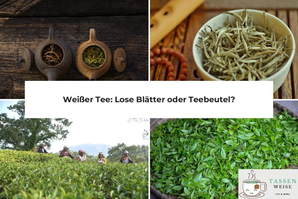 Weißer Tee Lose oder Beutel