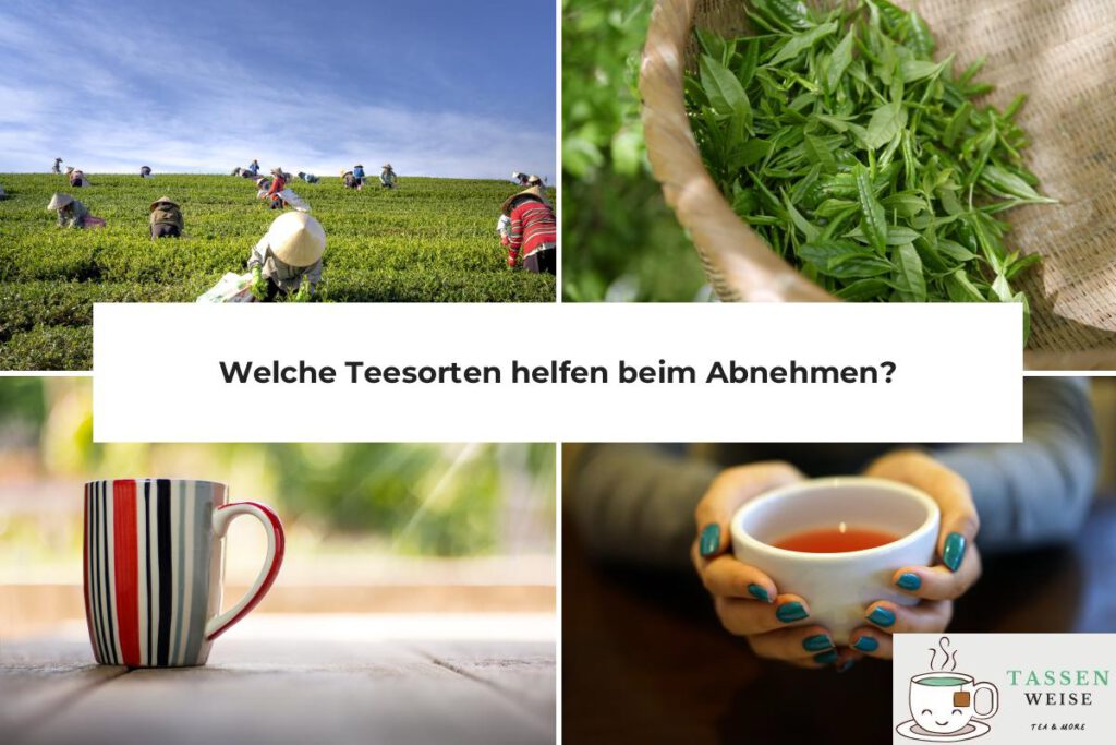 Teesorten zum Abnehmen