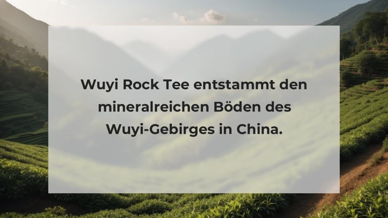 Wuyi Rock Tee entstammt den mineralreichen Böden des Wuyi-Gebirges in China.