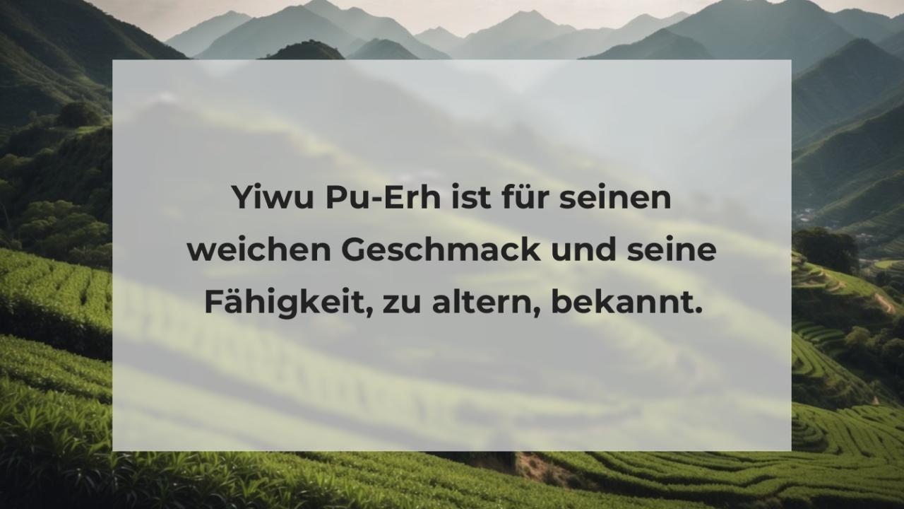 Yiwu Pu-Erh ist für seinen weichen Geschmack und seine Fähigkeit, zu altern, bekannt.