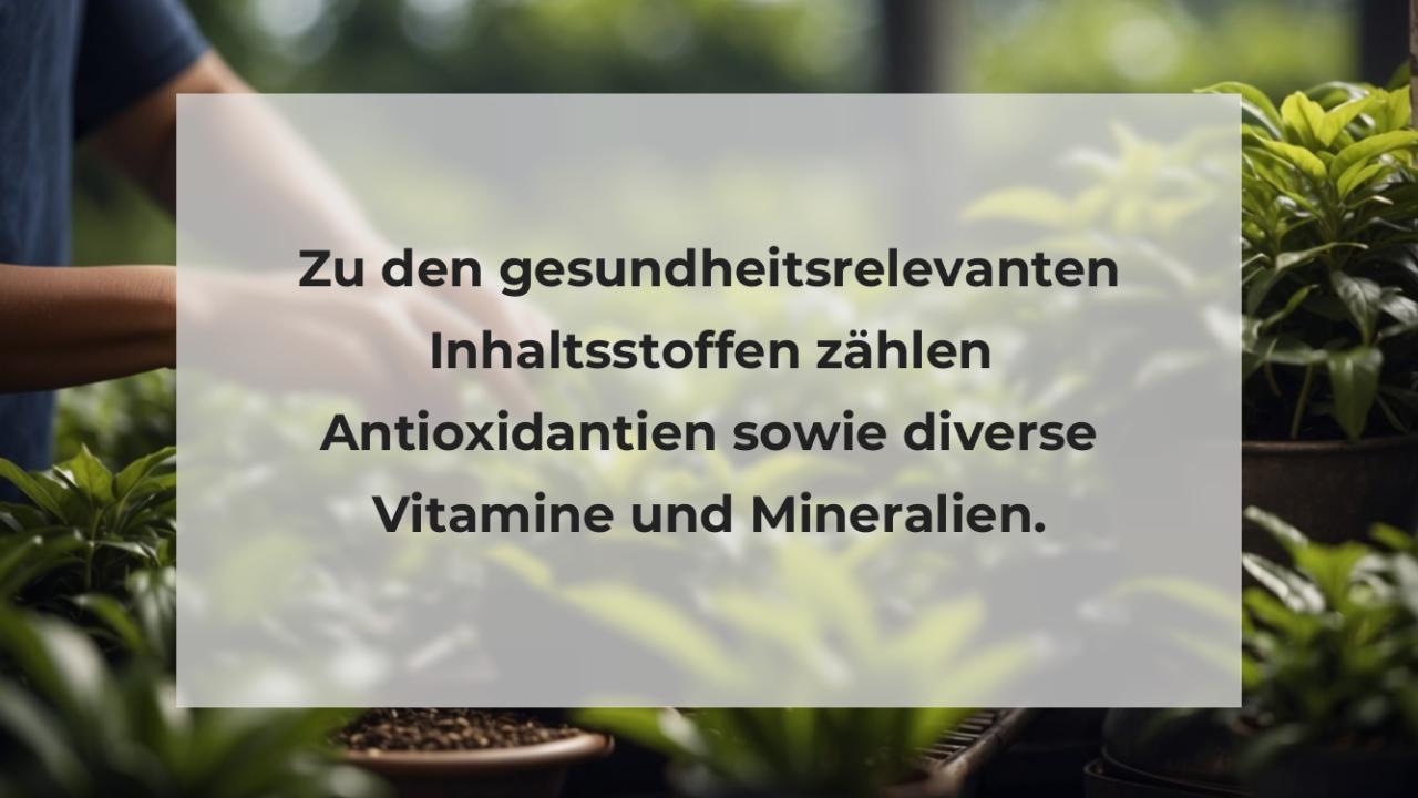 Zu den gesundheitsrelevanten Inhaltsstoffen zählen Antioxidantien sowie diverse Vitamine und Mineralien.